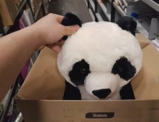Dječakova poruka rasplakala svijet: Moja mama nema para, ali, molim vas, ne kupujte mi ovu pandu