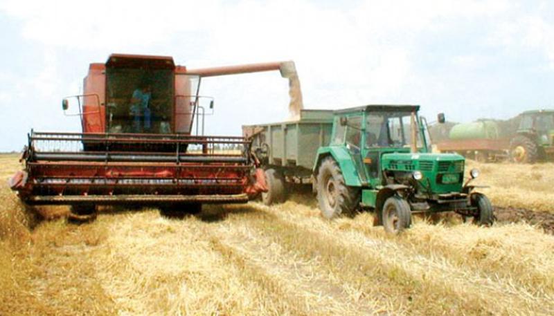 Država uskoro nadoknađuje poljoprivrednicima štetu zbog niskih temperatura