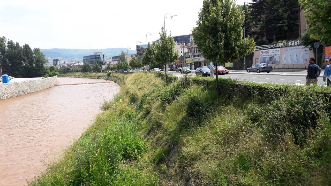 Epidemiolog Šefik Pašagić upozorava: Zmija ima po cijelom Sarajevu, kiša ih je istjerala vani