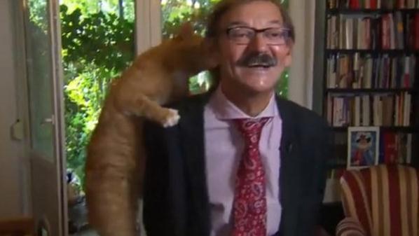 Dok je njegov vlasnik pričao u kameru, mačak za to nije mario: Popeo se na ramena i postao zvijezda društvenih mreža