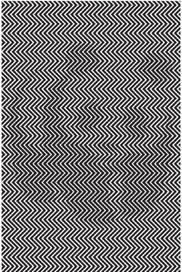 Ova optička iluzija ima snažnu poruku: Vidite li koja se životinja krije na ovoj slici