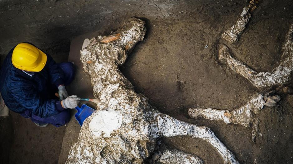 Arheolozi u Pompeji pronašli skamenjene ostatke konja