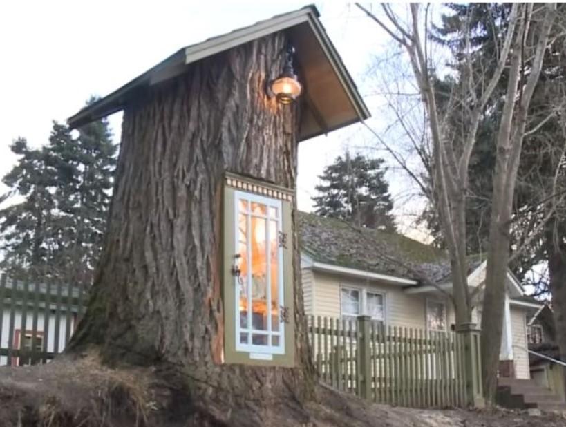 Drvo staro 110 godina pretvoreno u biblioteku