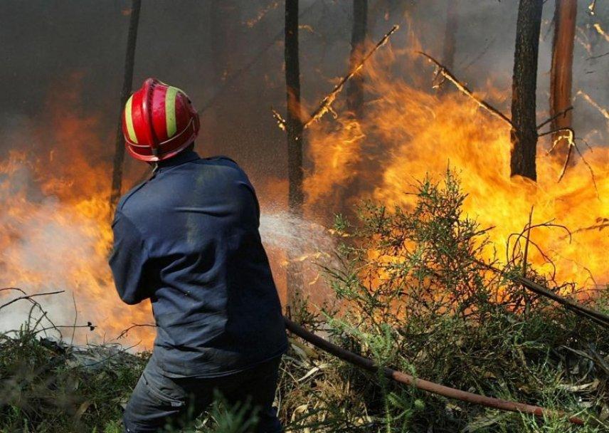 Olujni udari bure uzrokovali širenje požara u Hrvatskoj