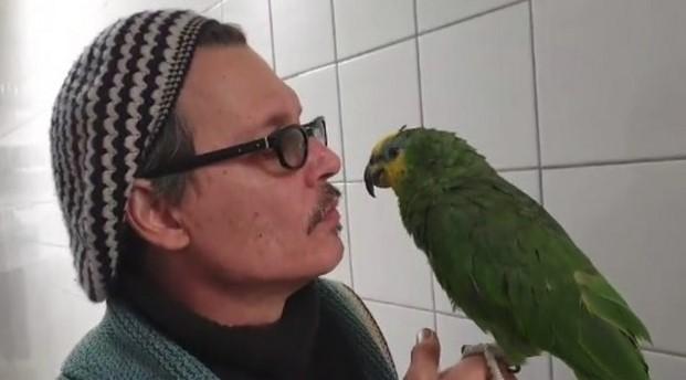 Džoni Dep priča s papagajem na našem jeziku: U jednom trenutku je čak i opsovao