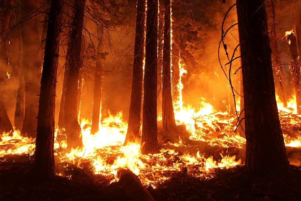 Više od 130 šumskih požara registrirano je na teritoriji površine skoro 44.000 hektara - Avaz