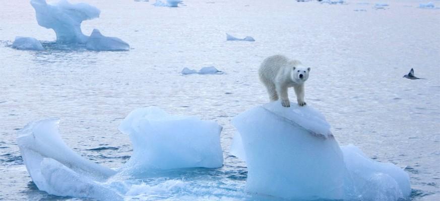 Arktikt: Zabrinjavajući podaci - Avaz