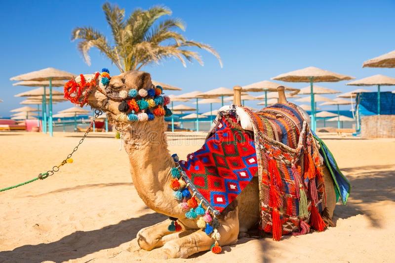 Hurghada privlači turiste iz cijelog svijeta - Avaz