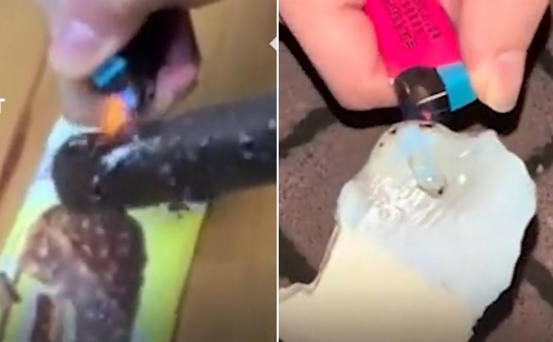 Internetom kruže snimci sladoleda koji se ne topi, prodaje se u Kini
