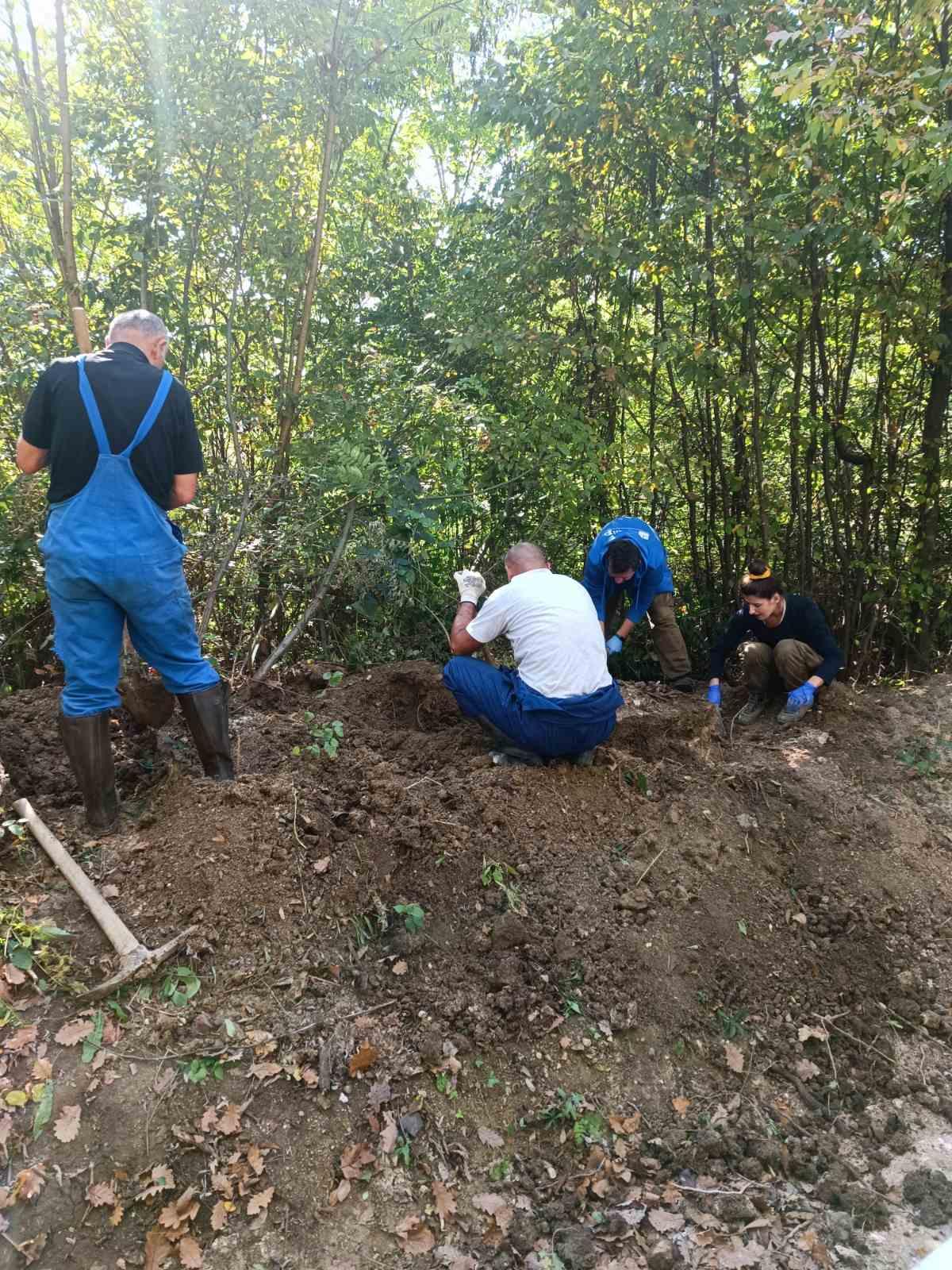 Izvršena ekshumacija na području Stanara - Avaz