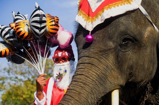 U Tajlandu Djed Mraz dijeli poklone na slonu