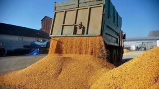 EU višim cijenama na žito iz Rusije i Bjelorusije želi otežati rusko finansiranje rata u Ukrajini