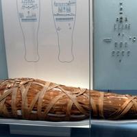 Tajna starih Egipćana: Kako i zbog čega su se bavili mumificiranjem