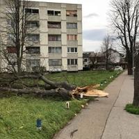 Izdato upozorenje za BiH: Očekuju se jaki udari vjetra, moguć rizik od povreda