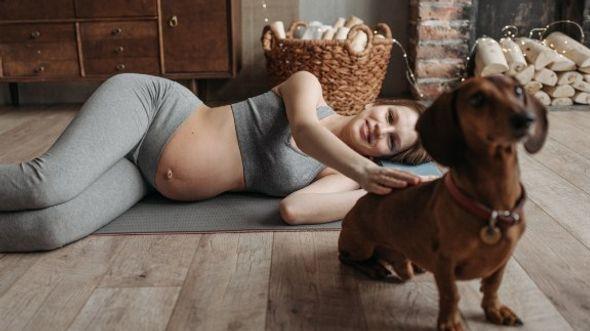 trudnica i pas - Avaz