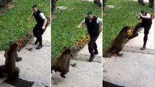 Video / Medvjed napao zaštitara u Bugojnu: Pogledajte kako se odbranio