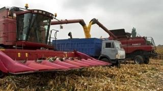 Rusija prijeti ukidanjem sporazuma o žitu: Postavila dva uslova
