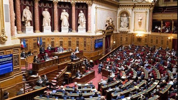 Francuski Senat: Projekat ima za cilj da pooštri proces spajanja porodice - Avaz