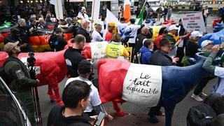 Proizvođači mlijeka održali protest ispred institucija EU-a u Briselu