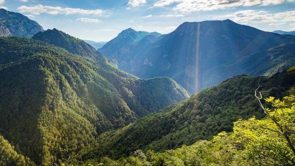 Perućica: Jedna od posljednjih prašuma u Evropi - Avaz