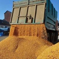 EU višim cijenama na žito iz Rusije i Bjelorusije želi otežati rusko finansiranje rata u Ukrajini