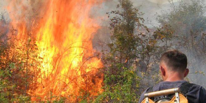 Crna Gora u plamenu: U Tivtu požari na 20 lokacija, a u Podgorici na 15