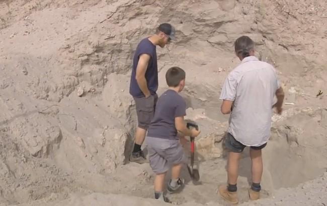 Dječak se spotakao, pao i otkrio ostatke stare više od milion godina