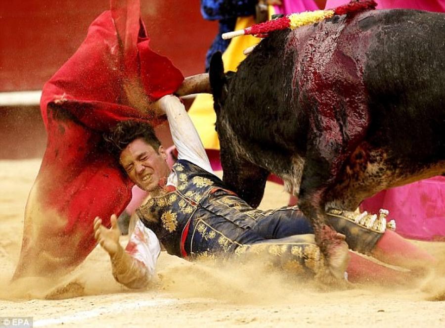 Bik zamalo ubio matadora u areni: Nesretni Joses jedva izvukao živu glavu