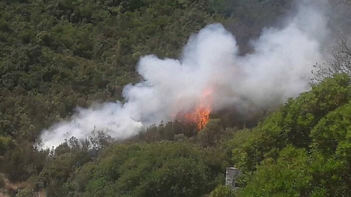 Poljski turista priznao da je podmetnuo požar na Žanjicama