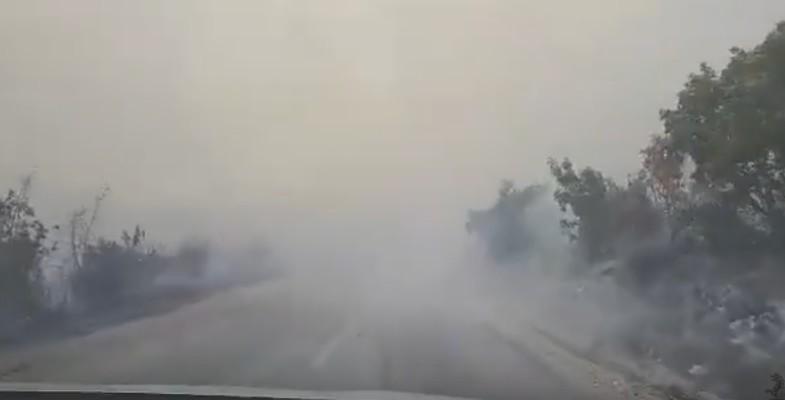 AVAZ NA LICU MJESTA Požari haraju Hercegovinom: Pogledajte kakvo je stanje danas u Ljubinju