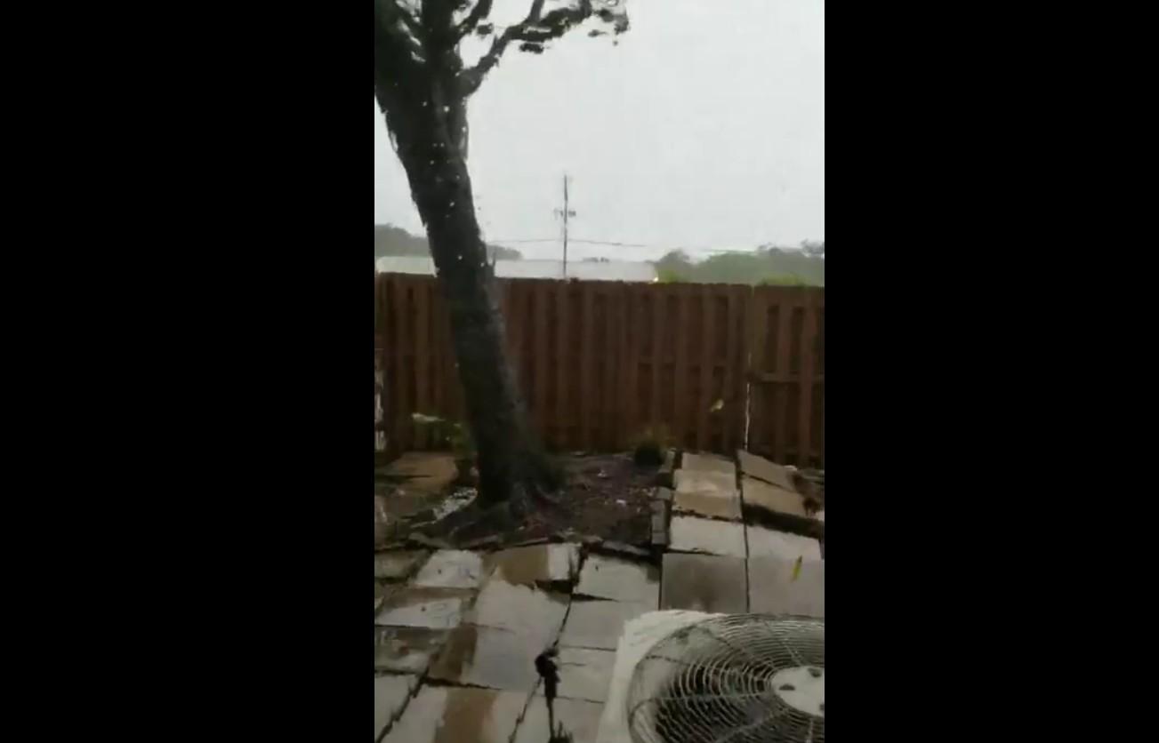 Uragan Irma iščupao stablo iz korijena: "Hvala Bogu pa nije palo na našu kuću"
