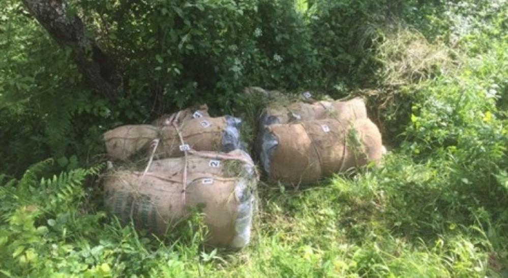 Crnogorska policija u Gusinju pronašla 120 kilograma skanka