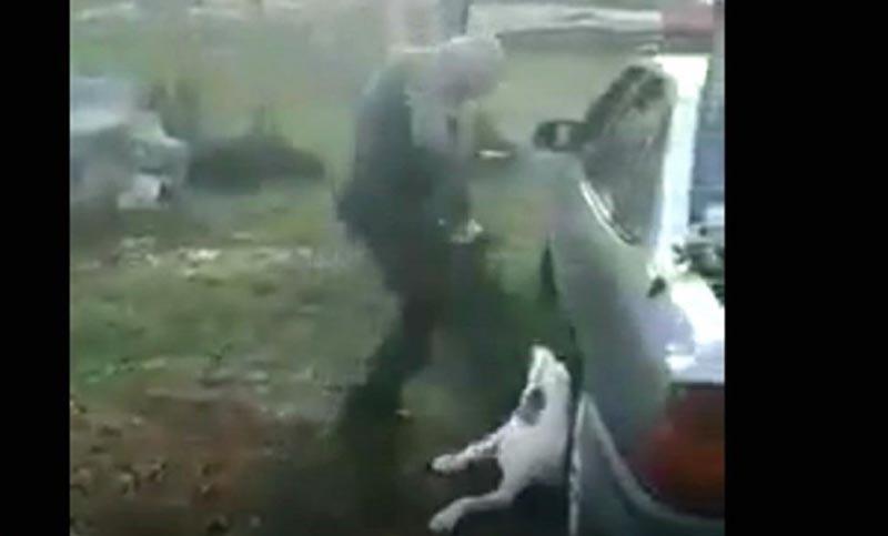 Uznemirujući video: Uhapšen muškarac koji je brutalno tukao pse