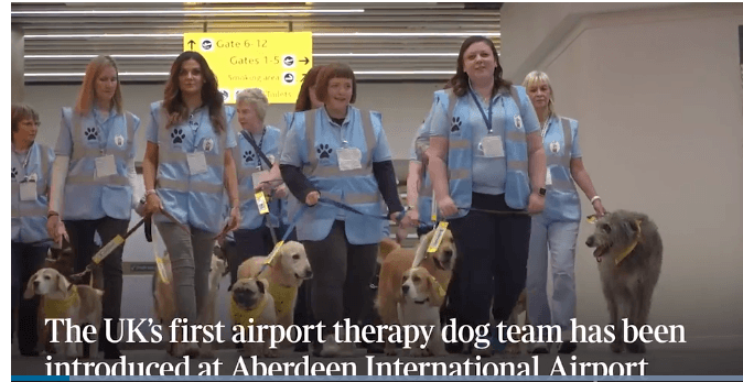 Ponuda aerodroma u Škotskoj: Milujte i mazite pse, izbacite stres
