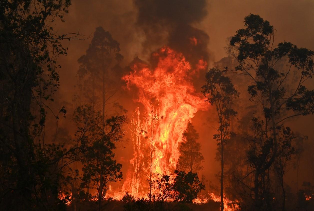 Požari prave pustoš: Vatra bjesni oko Sidneja, vlasti upozoravaju da stiže katastrofa