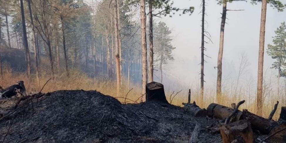 Vatrogasci, šumari i nekoliko mještana i dalje se bore s požarom