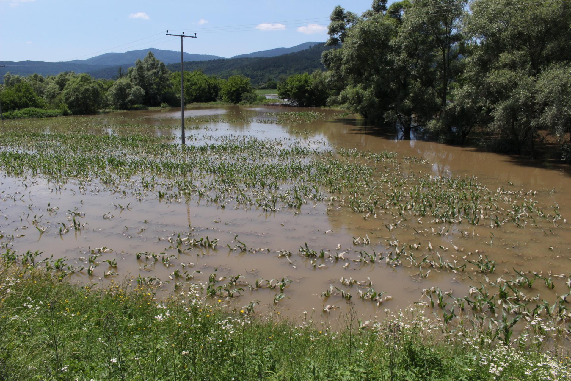 U Sprečkom polju poplavljeno 250 hektara plodne oranice