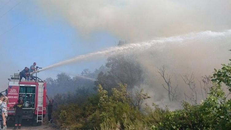 Izbio požar u selu Dubljani: Gori sitno rastinje i šuma