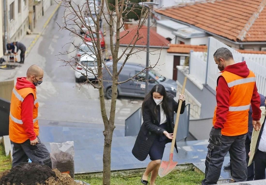 Povodom Dana planete Zemlje gradonačelnica Sarajeva zasadila lipu