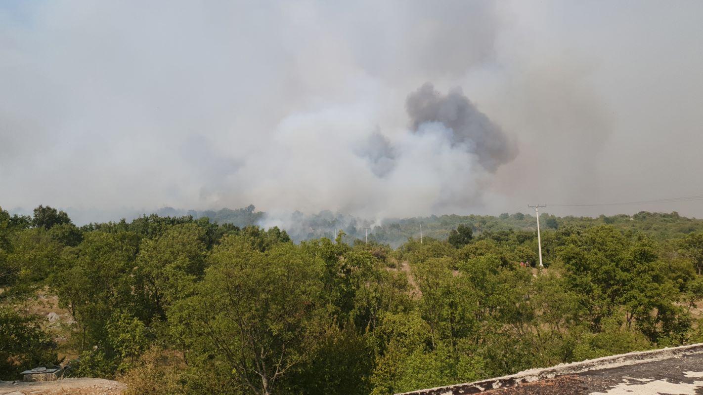 Požar i dalje aktivan zbog nepristupačnog terena - Avaz