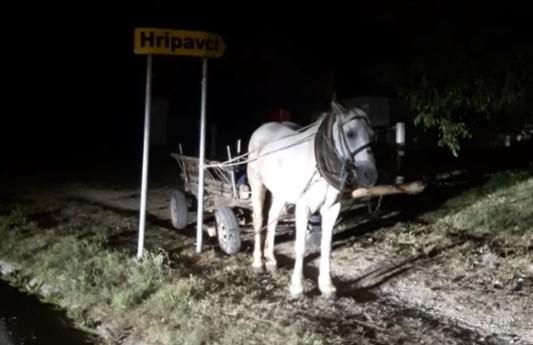 Ovo samo u Bosni ima: "Konj svezan za saobraćajni znak, a gazda u kafani"