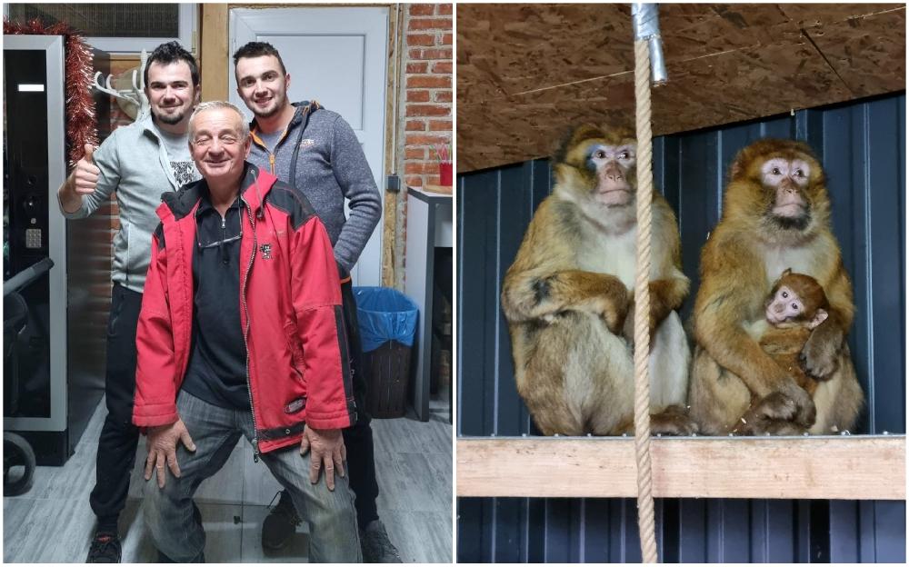 Kraj drame u Prijedoru: Majmun i njegovo mladunče vraćeni na sigurno