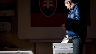 Slovaci danas izlaze na referendum