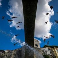 Pogledajte spektakularni masovni skok sa Starog mosta