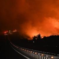 Šumski požari u Grčkoj: Teška situacija na terenu, vatrogasci se bore sa vatrenom stihijom