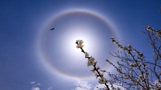 Neobična pojava na nebu iznad turskog Vana: Ledeni prsten oko Sunca
