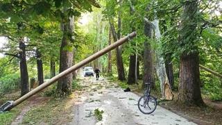 Haos na Ilidži: Oboreno nekoliko stabala na šetalištu u Velikoj aleji