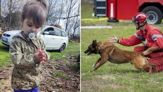Pas Zigi, koji je tražio ljude pod ruševinama u Turskoj, tražit će djevojčicu Danku (2)