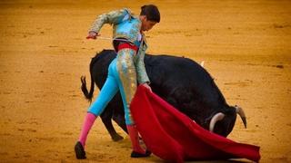 Meksiko vraća borbe s bikovima u najvećoj svjetskoj areni