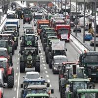 Njemački poljoprivrednici danas izlaze na proteste u Berlinu zbog viših poreza